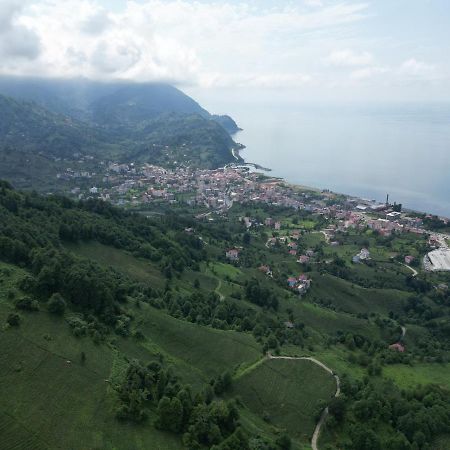 Oksijen Suit Artvin Exteriér fotografie